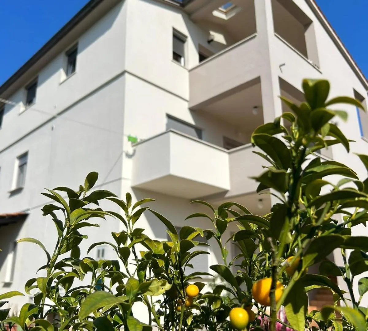 Apartment Spacious And Bright Apartment- Silvio 1 Banjole